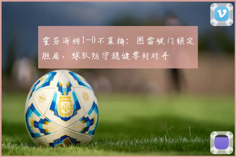 霍芬海姆1-0不莱梅：图雷破门锁定胜局，球队防守稳健零封对手