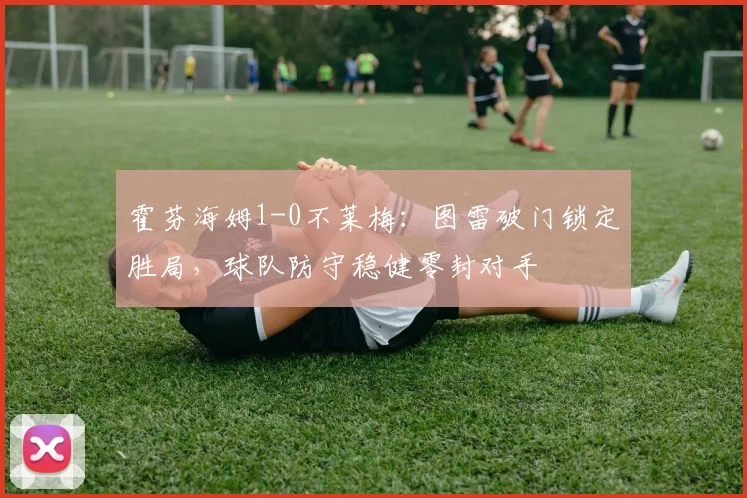 霍芬海姆1-0不莱梅:图雷破门锁定胜局,球队防守稳健零封对手